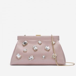 Pink DeMellier The Cannes Women's Clutch Bag | UAE-30625749